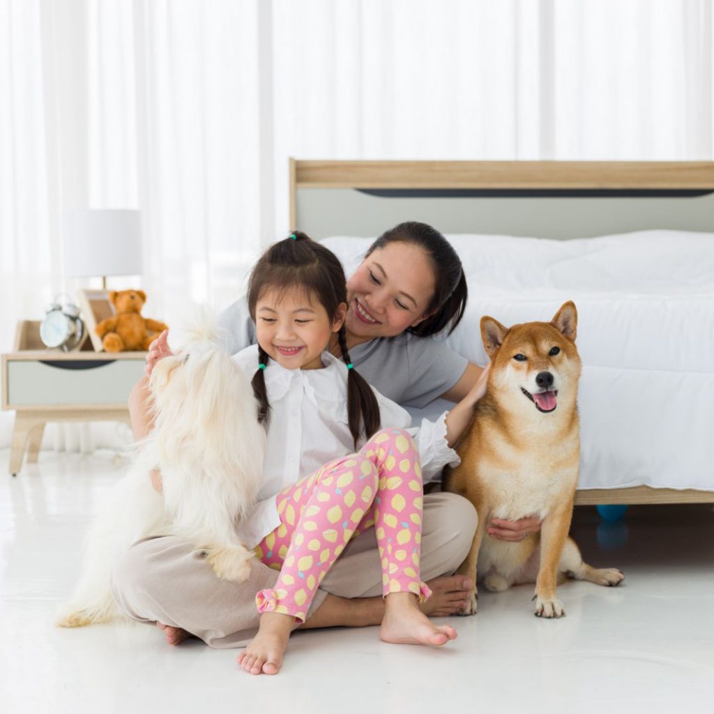 puppy training singapore for happy home owners